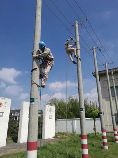 1623739626122438.jpg 1617762189805985.jpg